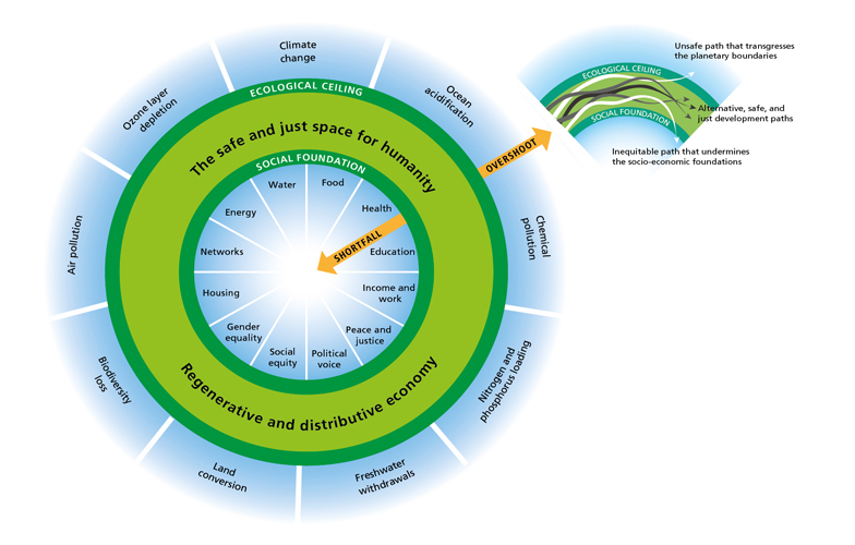 doughnut model